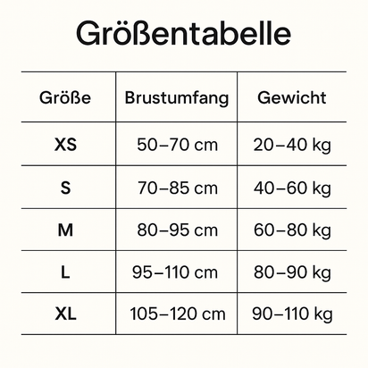 Holtura Corefit Pro Rücken Halterungs Korrekturgürtel